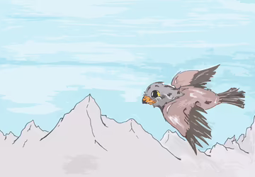 Aquilotto in der Tiroler Bergwelt